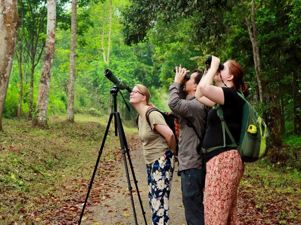 Cuc Phuong National Park – A rendezvous for nature lovers