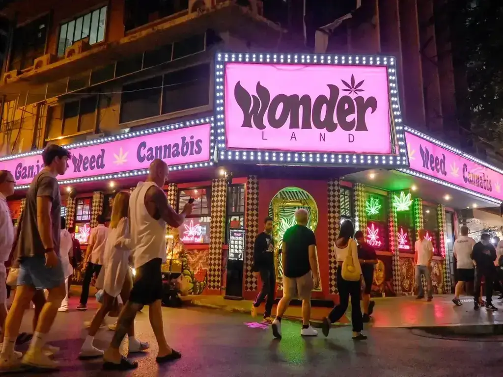 10 Things Tourists Need To Know About Cannabis In Thailand