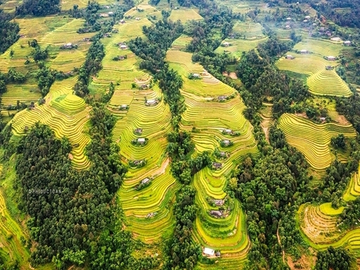 Hoang Su Phi terraced rice fields - A brocade painting in the middle of the sky