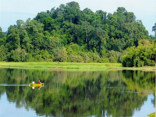 IUCN Green List Title - Efforts to conserve and restore forest ecosystems and biodiversity of Cat Tien National Park